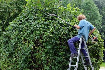 gardening 